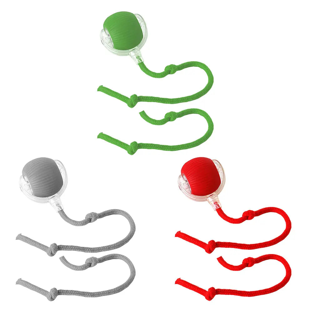 Interactive Cat Ball Toy