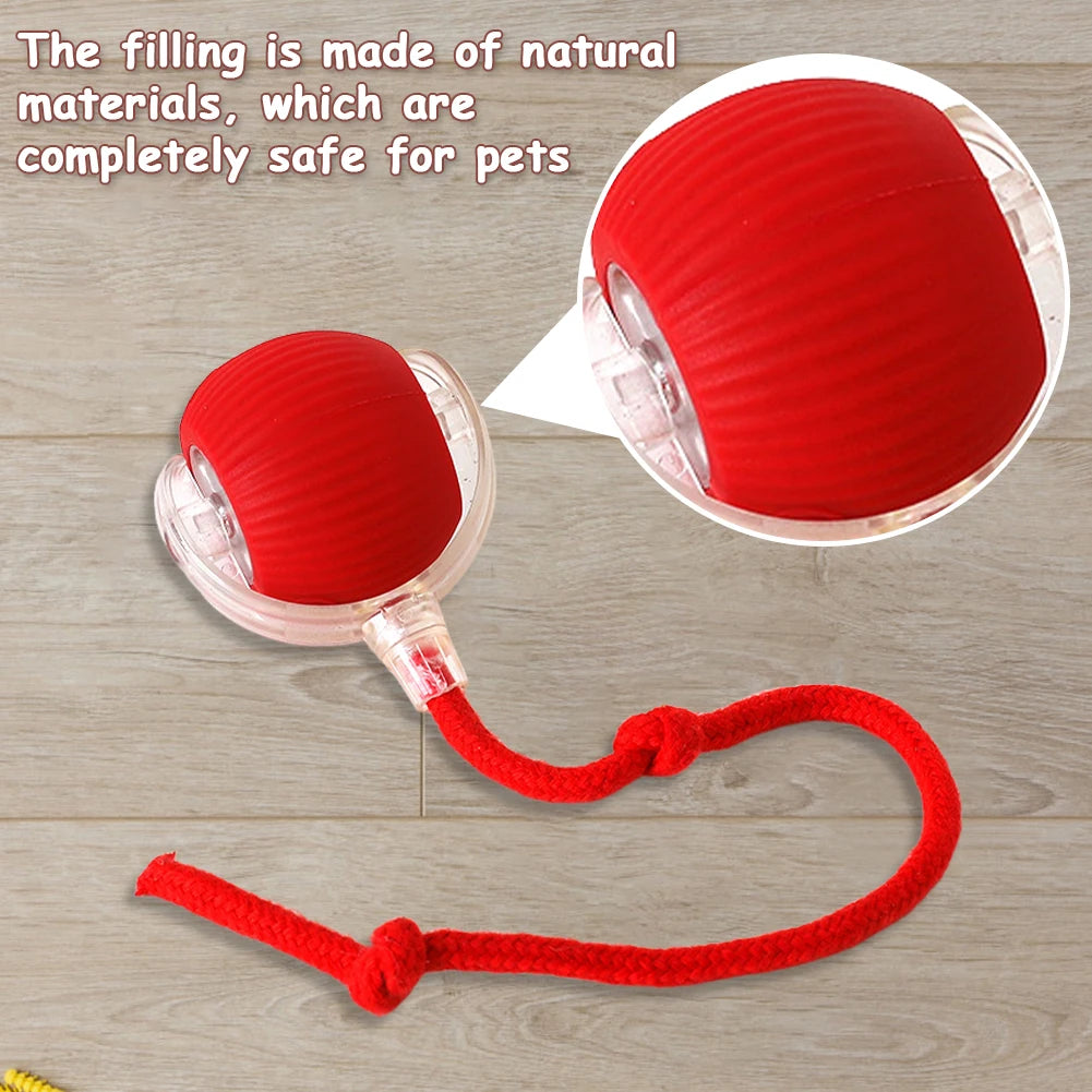 Interactive Cat Ball Toy
