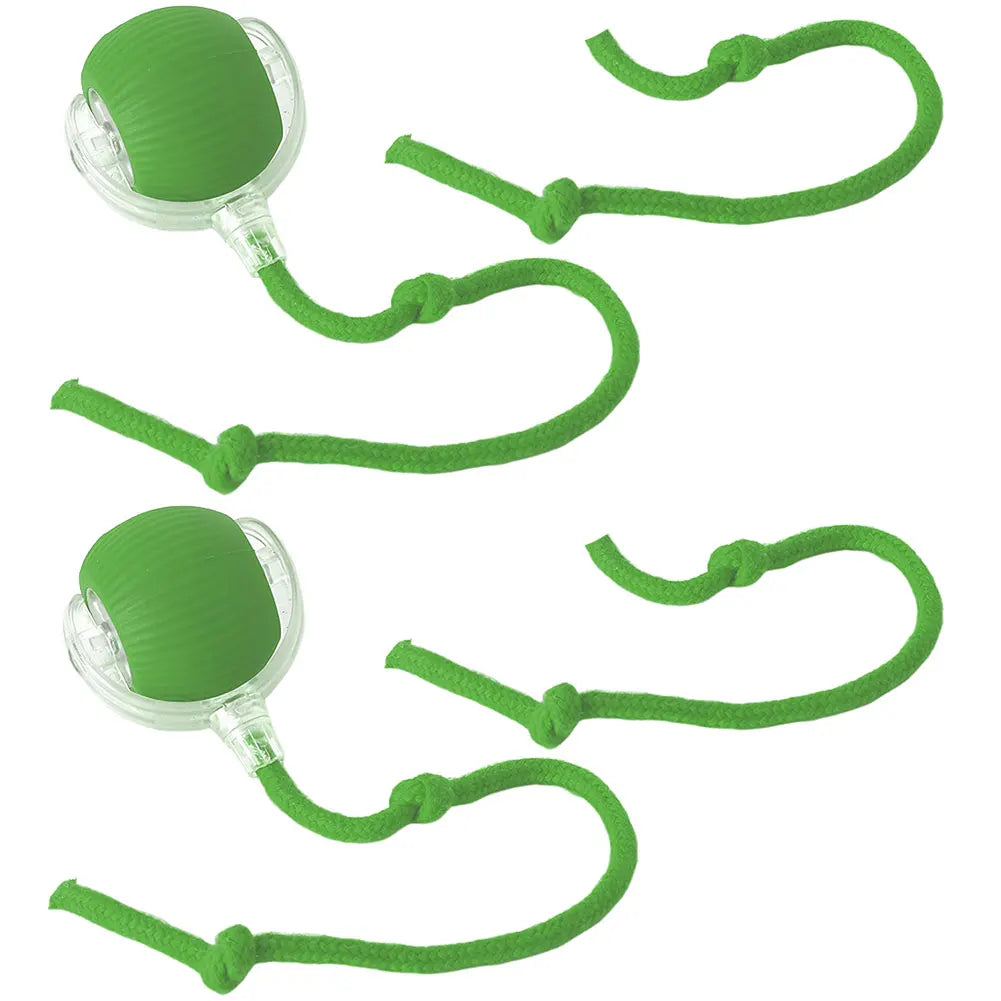 Interactive Cat Ball Toy