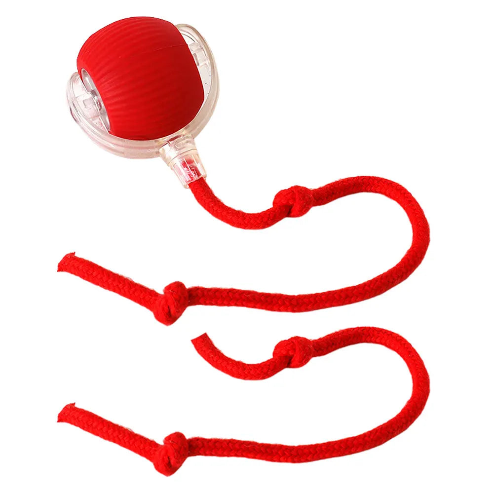 Interactive Cat Ball Toy