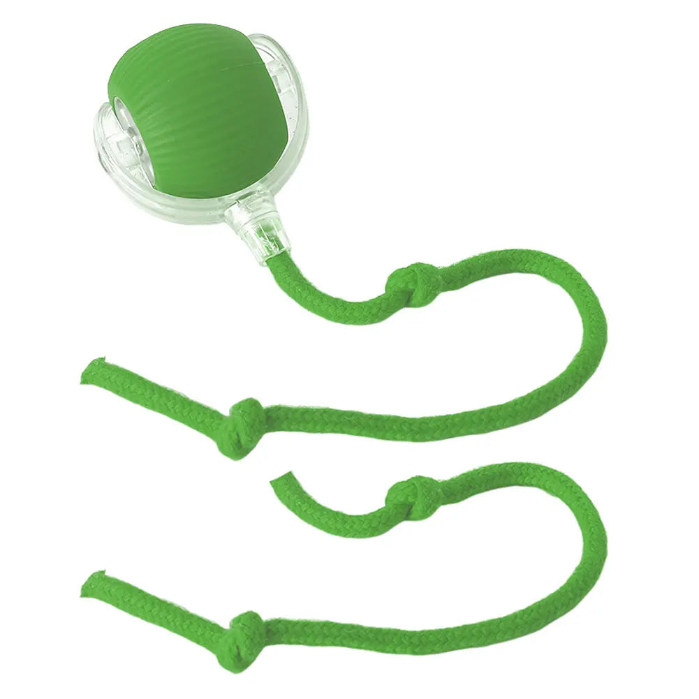 Interactive Cat Ball Toy