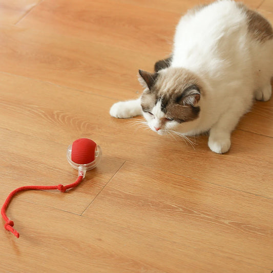 Interactive Cat Ball Toy
