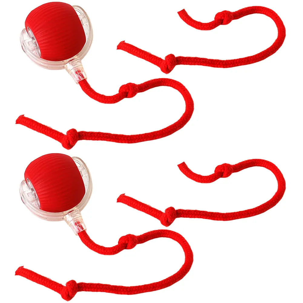Interactive Cat Ball Toy