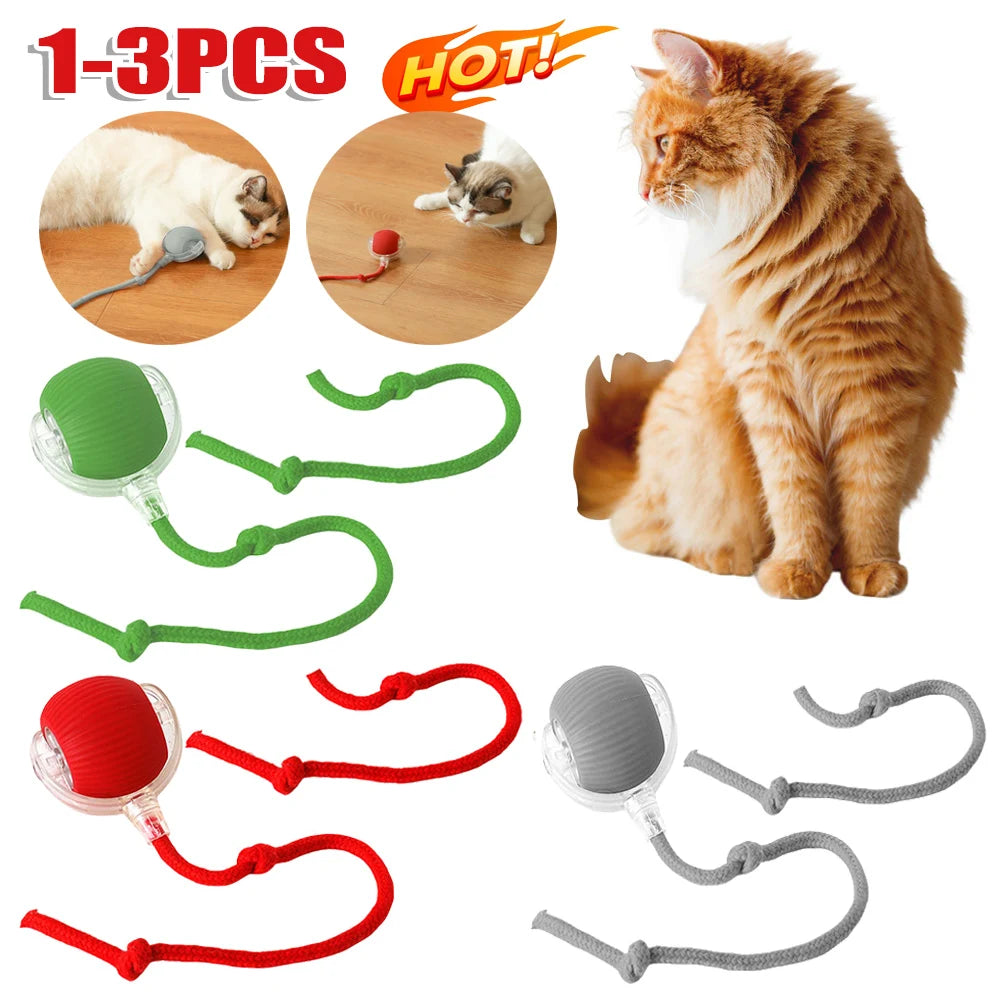Interactive Cat Ball Toy