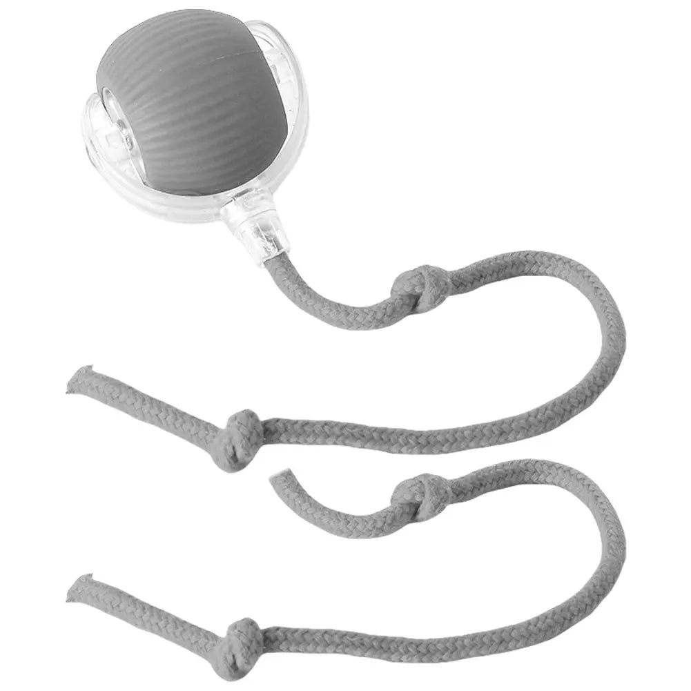 Interactive Cat Ball Toy