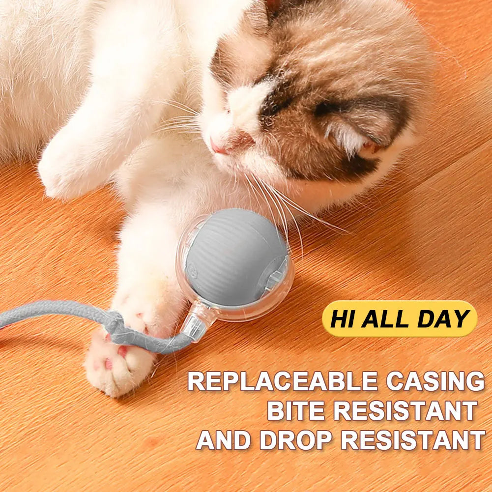 Interactive Cat Ball Toy